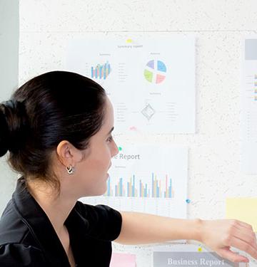 Economists analyzing data